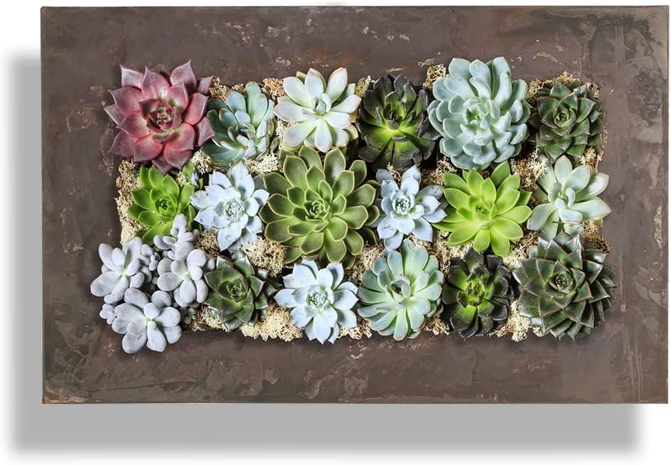 Modern Home Living Wall Galvanized Steel/Zinc Succulent Planter