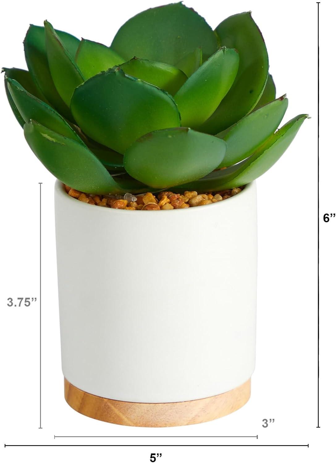 Nearly Natural 6-in Succulent Artificial Plant in White Ceramic Planter