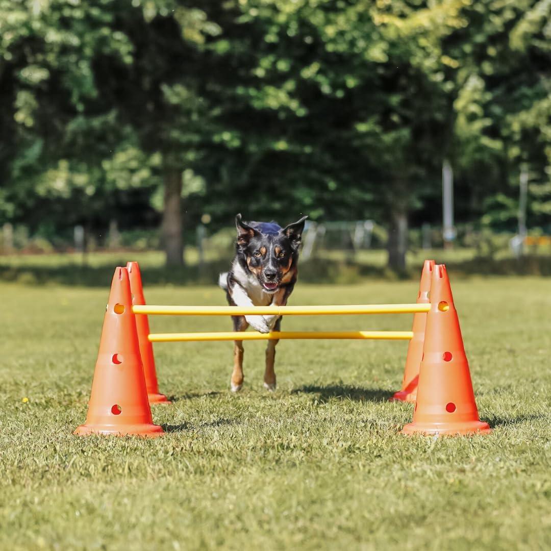 TRIXIE Dog Agility Hurdle Cone Set, Portable Canine Agility Training Set, 6 Exercise Cones with 3 Agility Rods