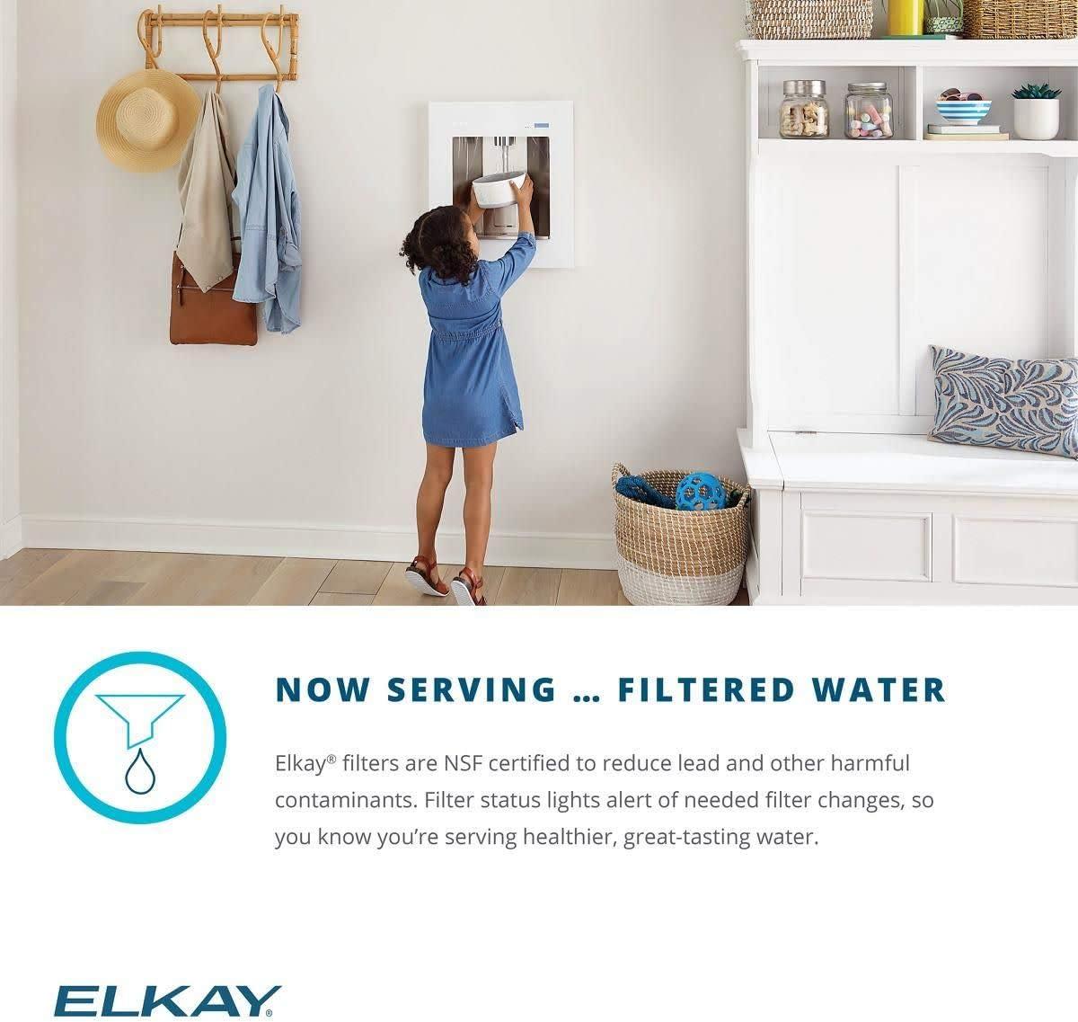 Elkay Elkay ezH2O Liv Built-in Filtered Refrigerated Water Dispenser Remote Chiller