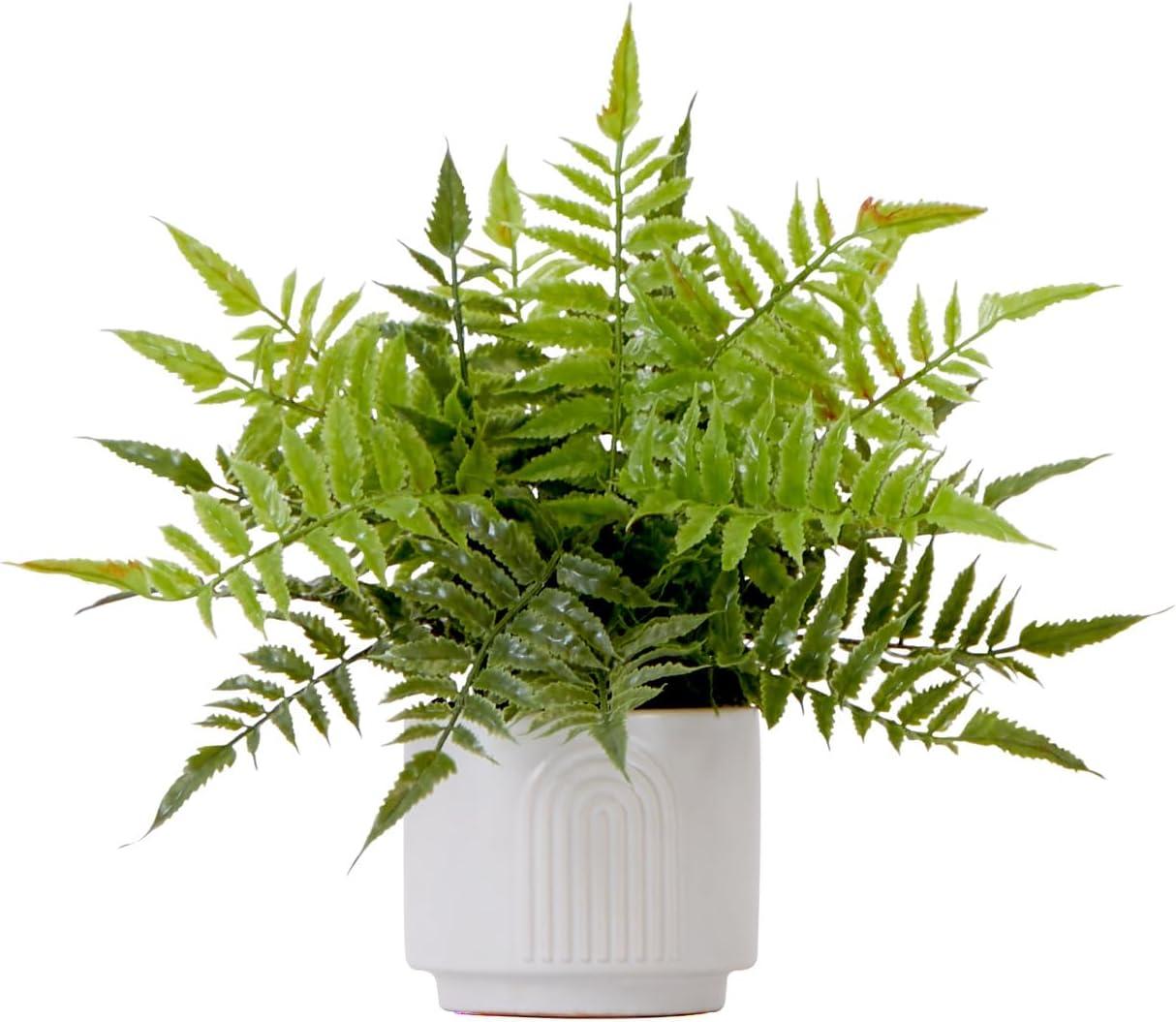 13'' Artificial Boston Fern in White Ceramic Planter