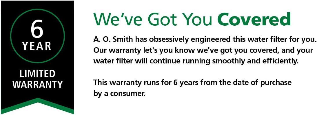 A. O. Smith Whole House Water Descaler