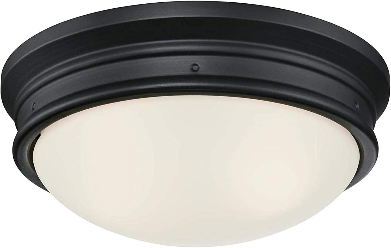 Meadowbrook Matte Black Frosted Glass 13" LED Outdoor Flush Mount