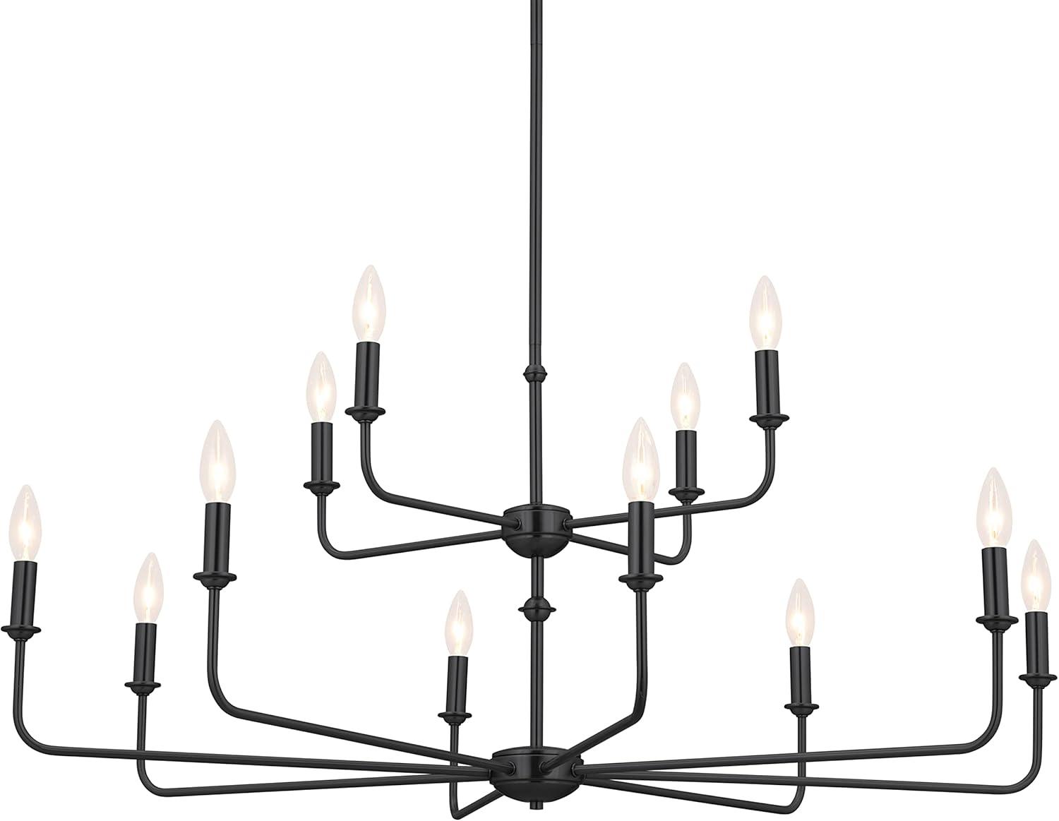 12 - Light Dimmable Classic / Traditional Chandelier