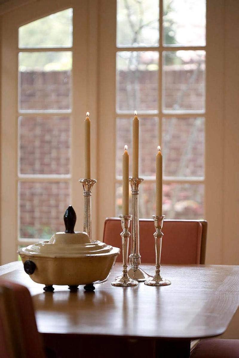 Root Candles Unscented Taper Candle (Set of 12)