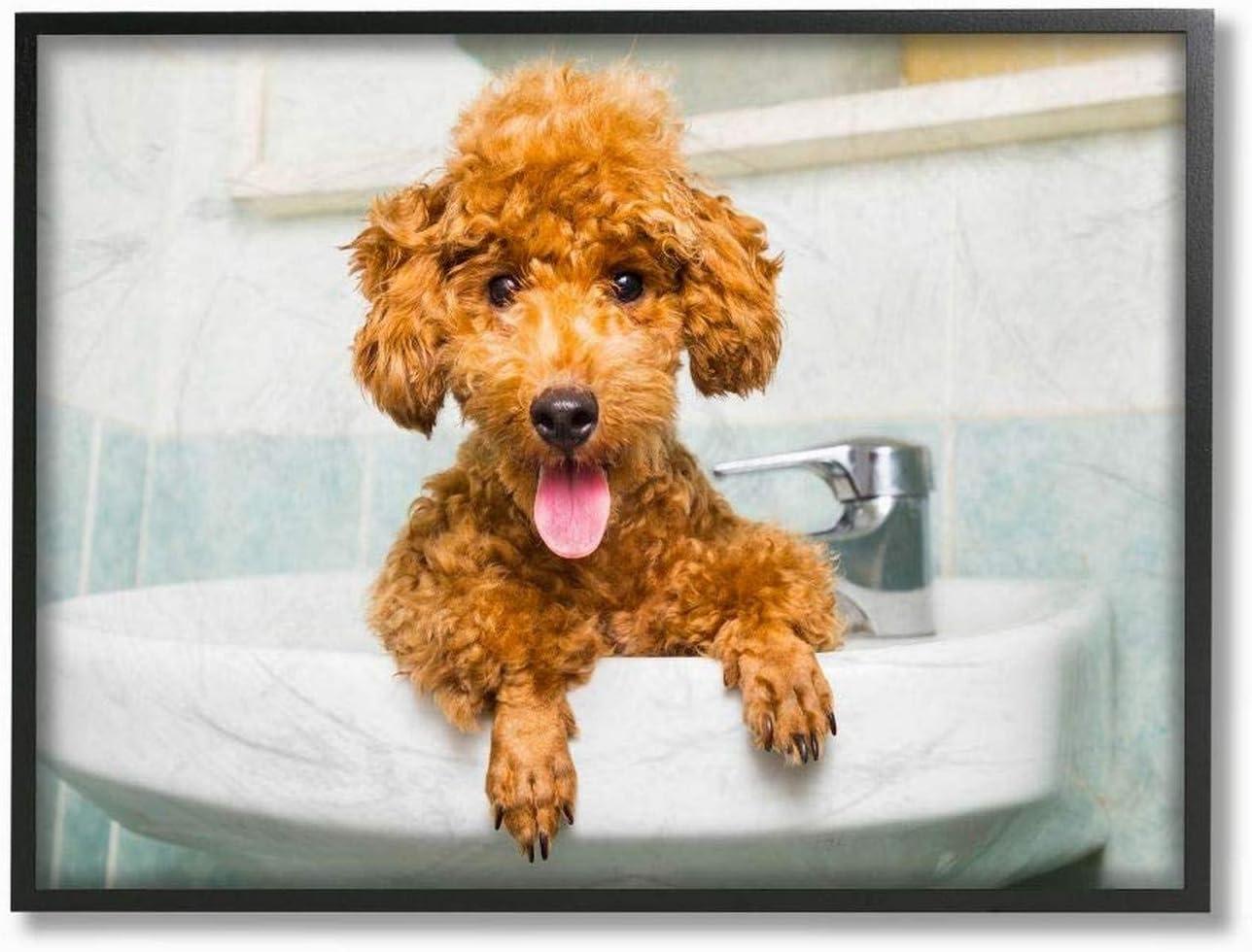 Goldendoodle Puppy Sink Playtime Framed Canvas Wall Art, 16 x 20