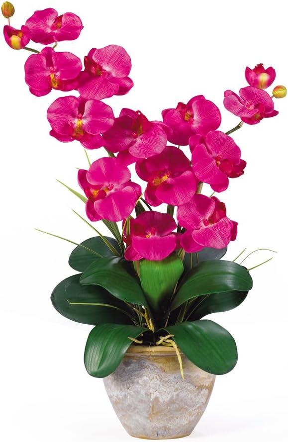 Multicolor 25" Double Stem Phalaenopsis Silk Orchid in Ceramic Vase