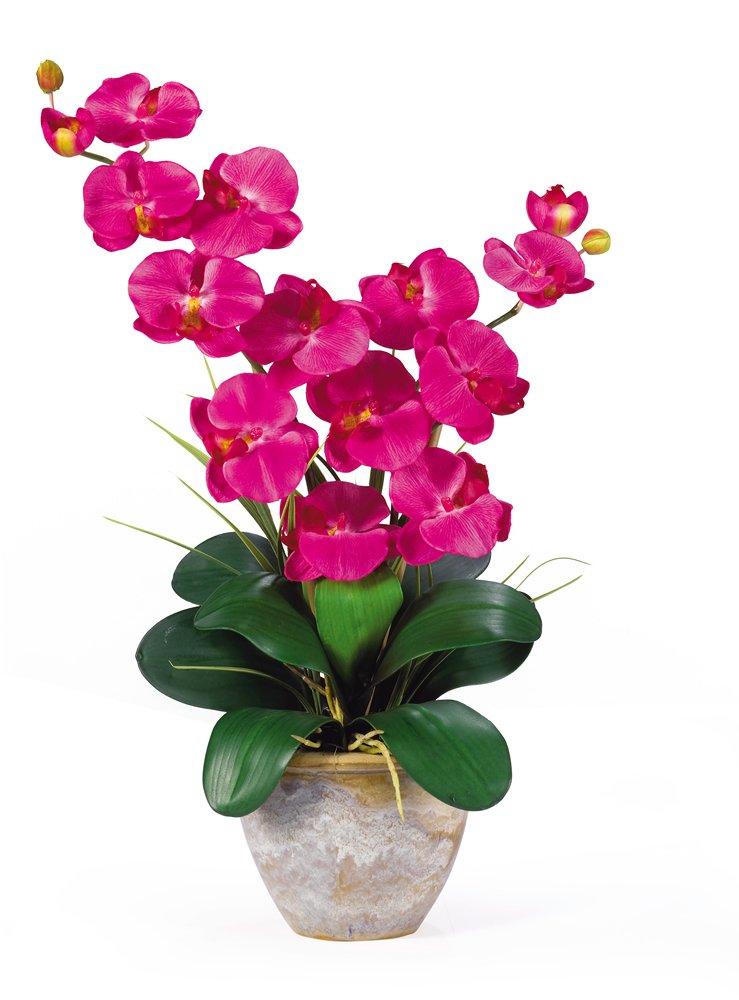 Nearly Natural Double Phalaenopsis Silk Orchid Flower Arrangement, Beauty