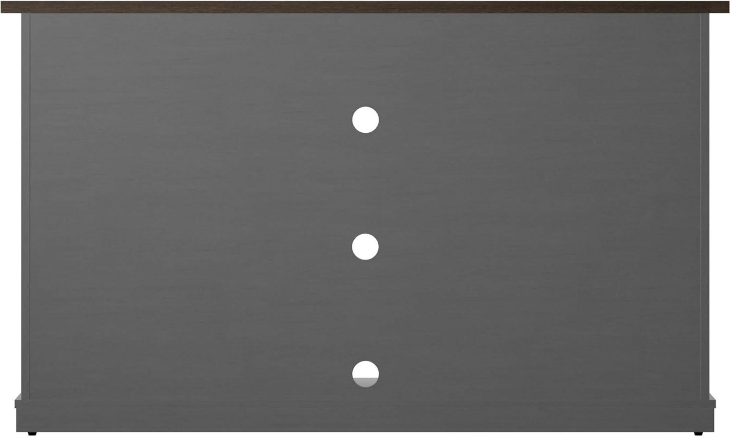 Twin Star Home Terryville Barn Door TV Stand for TVs up to 60", Dark Gray