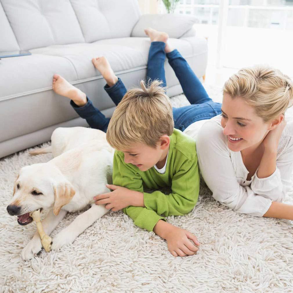 BestPet Foldable Pet Jogger Stroller