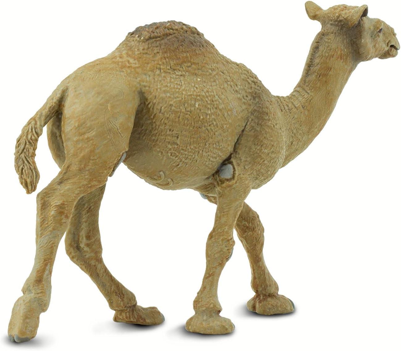 Safari Ltd. Dromedary Camel Figurine - Lifelike 5.75" Model Figure - Educational Toy for Boys, Girls, and Kids Ages 3+