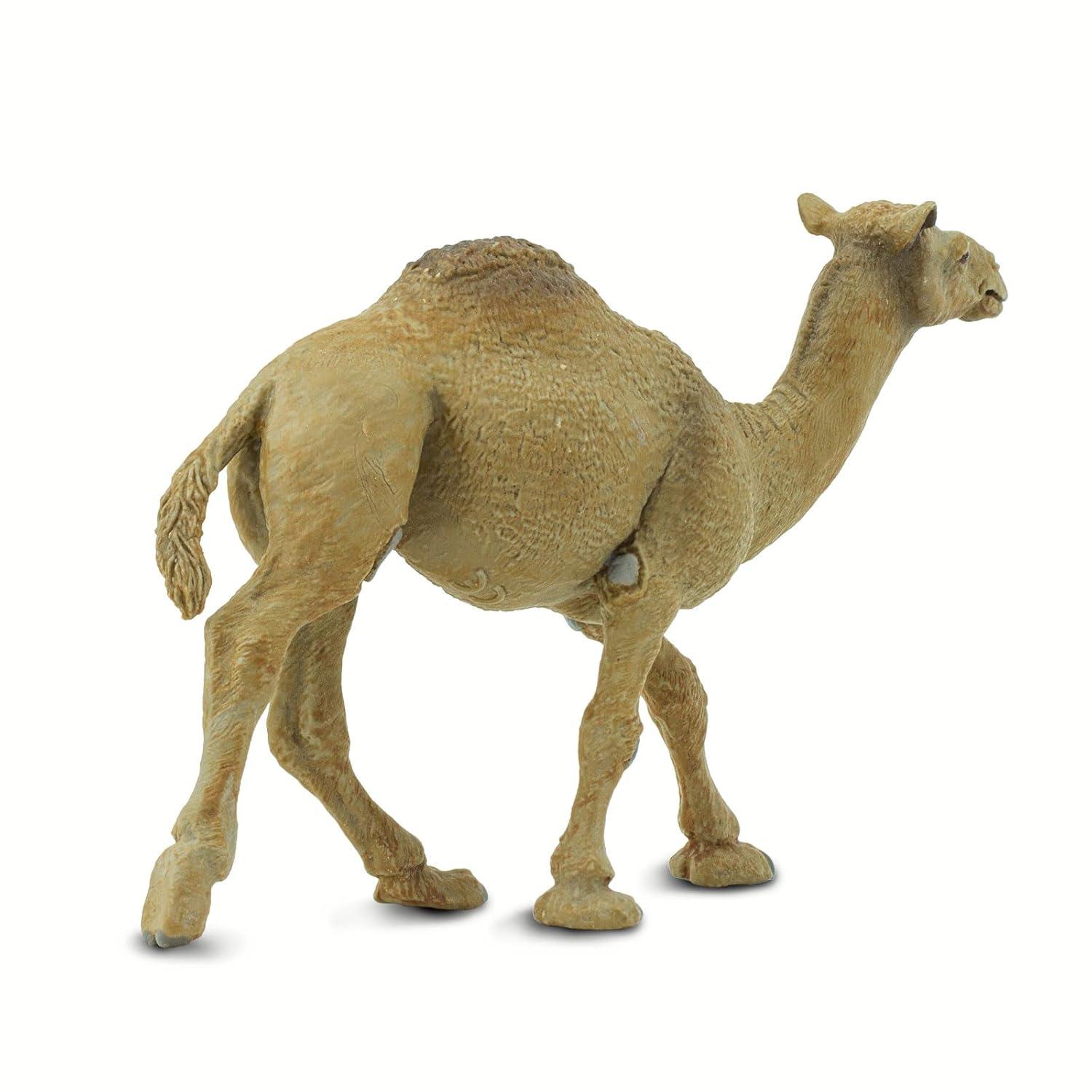 Safari Ltd. Dromedary Camel Figurine - Lifelike 5.75" Model Figure - Educational Toy for Boys, Girls, and Kids Ages 3+