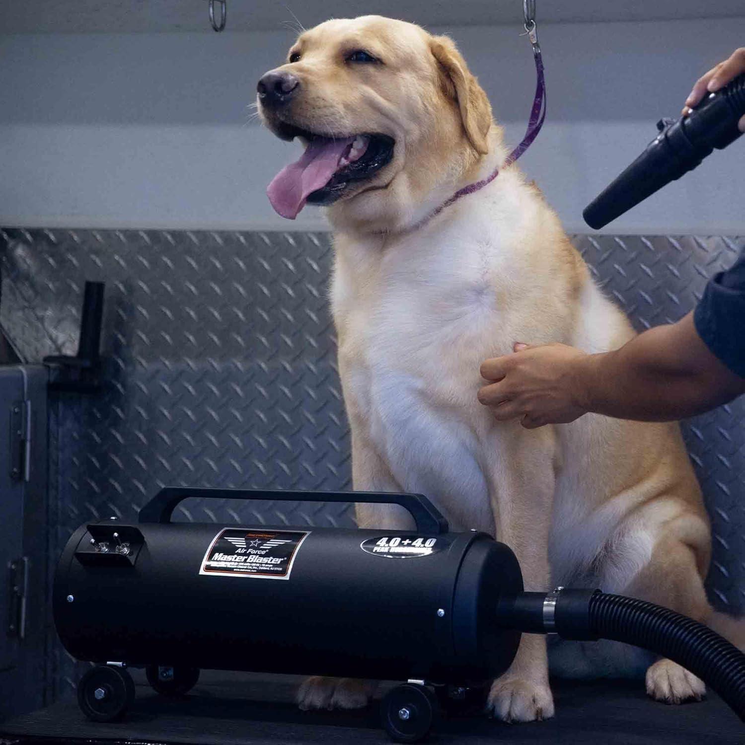 Black Steel Air Force Master Blaster Pet Dryer with Hose