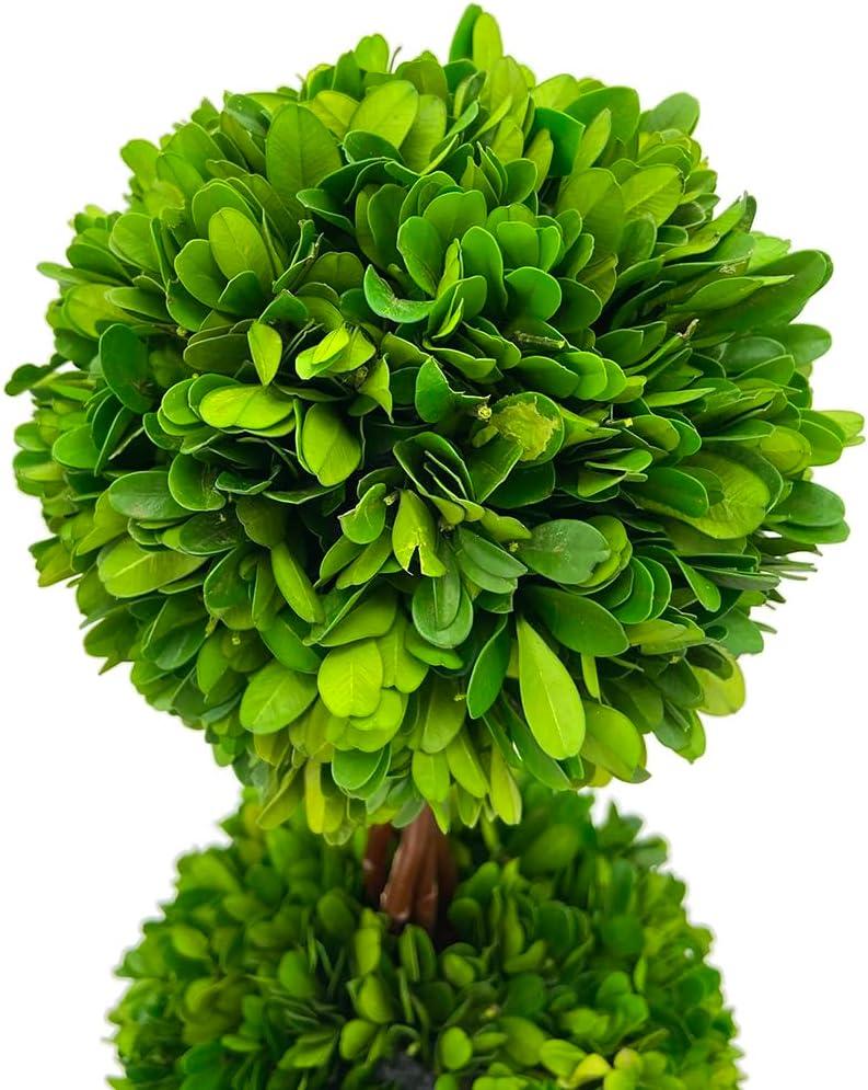 Modern Home 27" Real Preserved Boxwood Topiary Plant – Double Ball Faux Greenery in Rustic Pot – Indoor Outdoor Decorative Potted Plant for Home, Office, Porch, Patio, or Event Décor