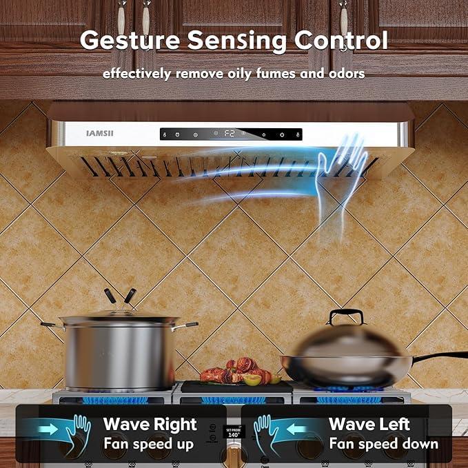 36 in. 900 CFM Ducted Under Cabinet Range Hood in Stainless Steel with Remote Control and LED Lights