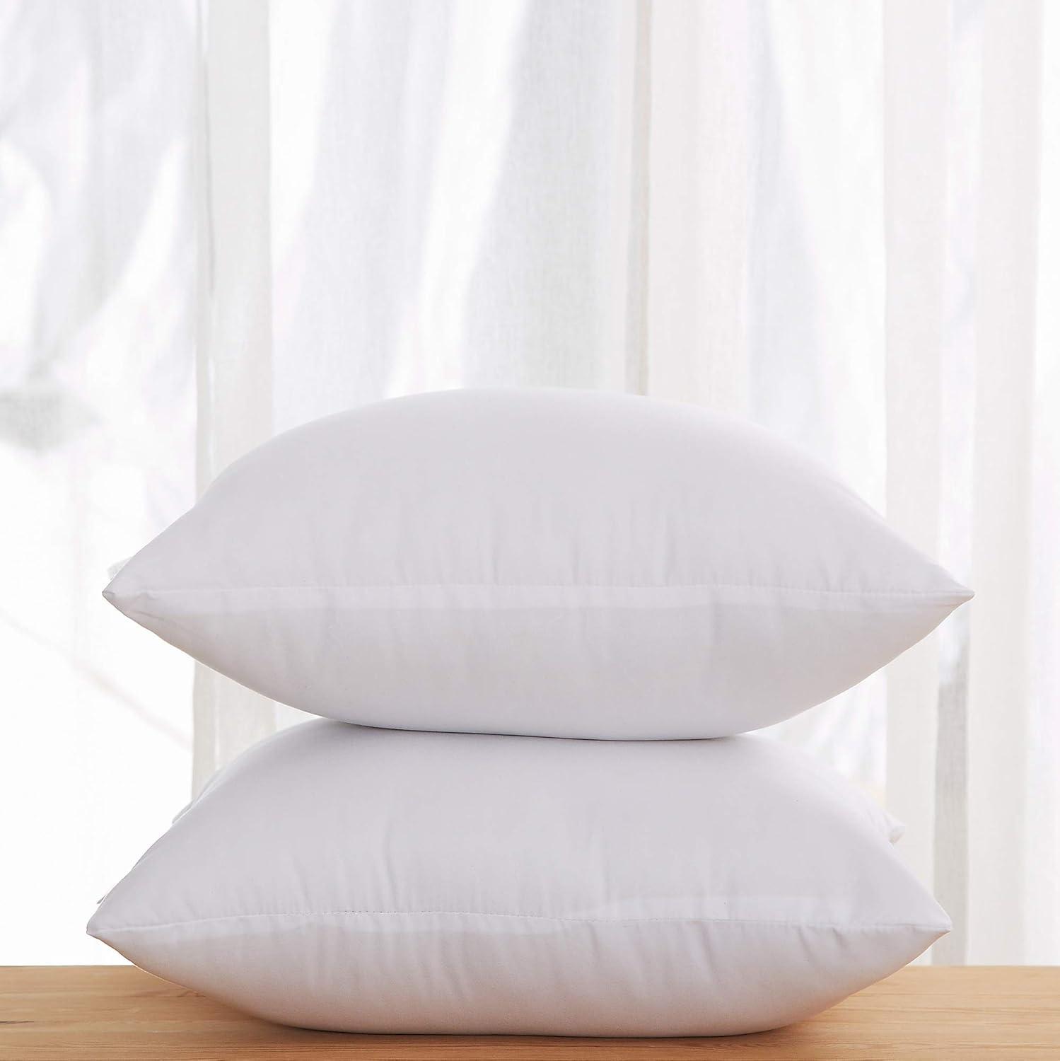 Pillow Insert