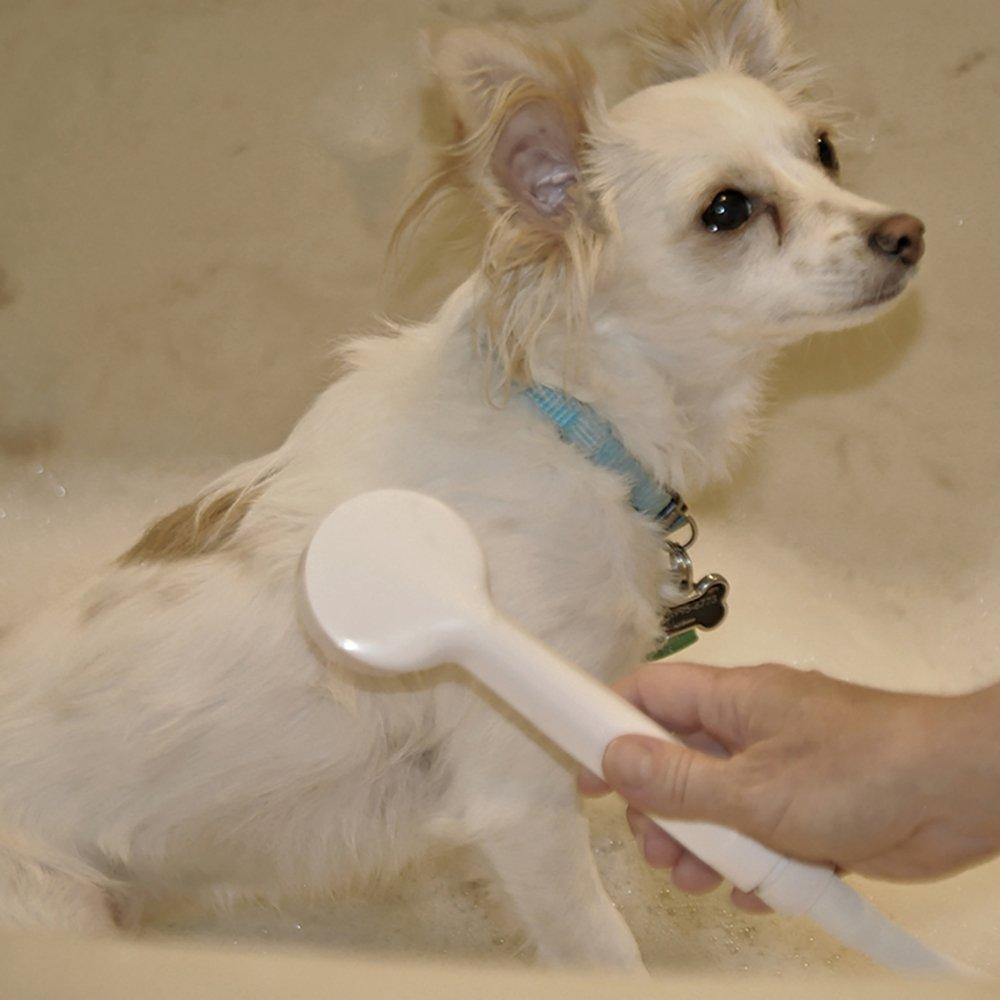 Danco White Plastic 1 settings Handheld Showerhead 2.2 gpm