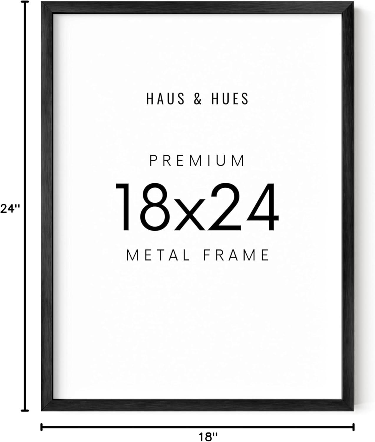 Haus and Hues Aluminum Frame (Set Of 1) Metal Picture Frame