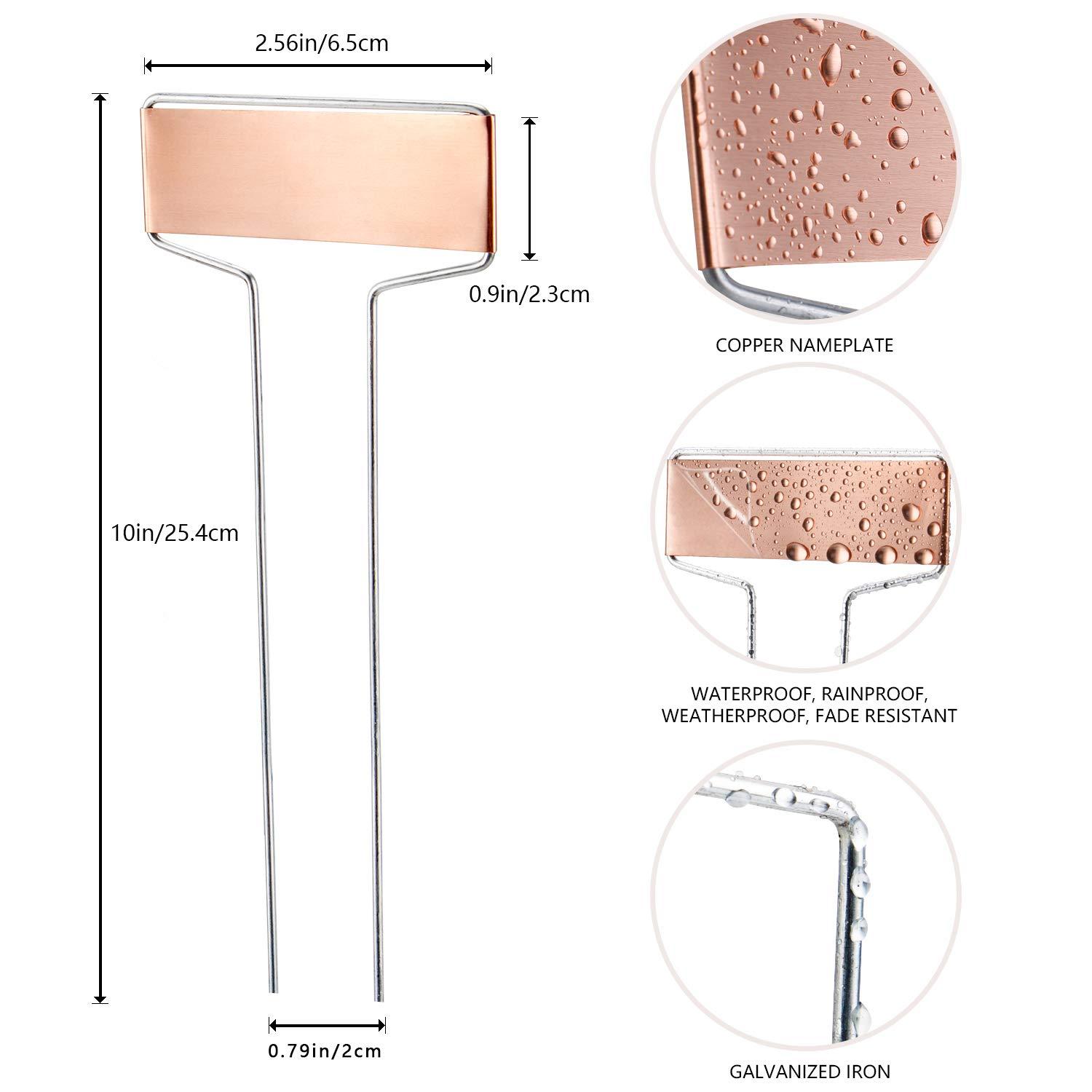 25PCS Copper Metal Plant Tags Plant Labels with 50Pcs Labels, Rainproof PET Film & Permanent Pen, 10" Weatherproof Banner Garden Markers, Marking Protection Seedling Signs Nursery Tags