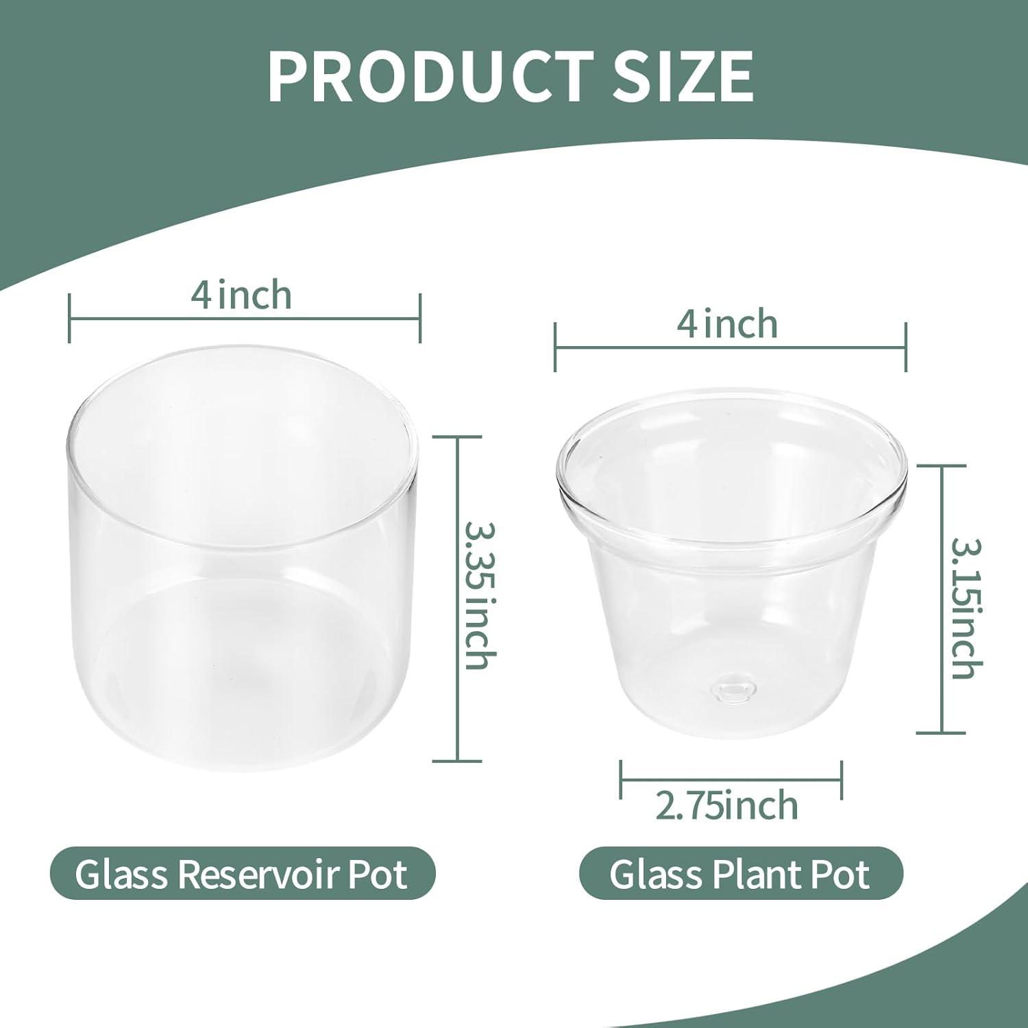 4 Inch Clear Glass Self Watering Indoor Plant Pot