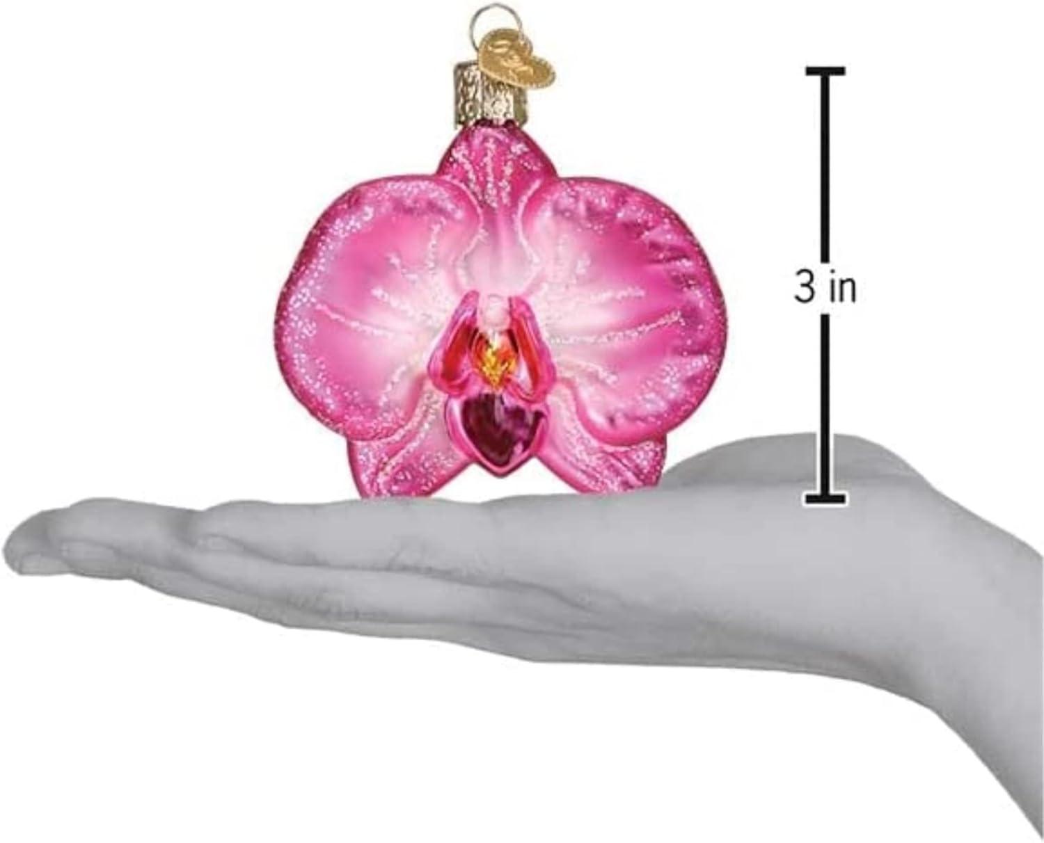 Old World Christmas Glass Blown Christmas Ornament, Orchid (With OWC Gift Box)