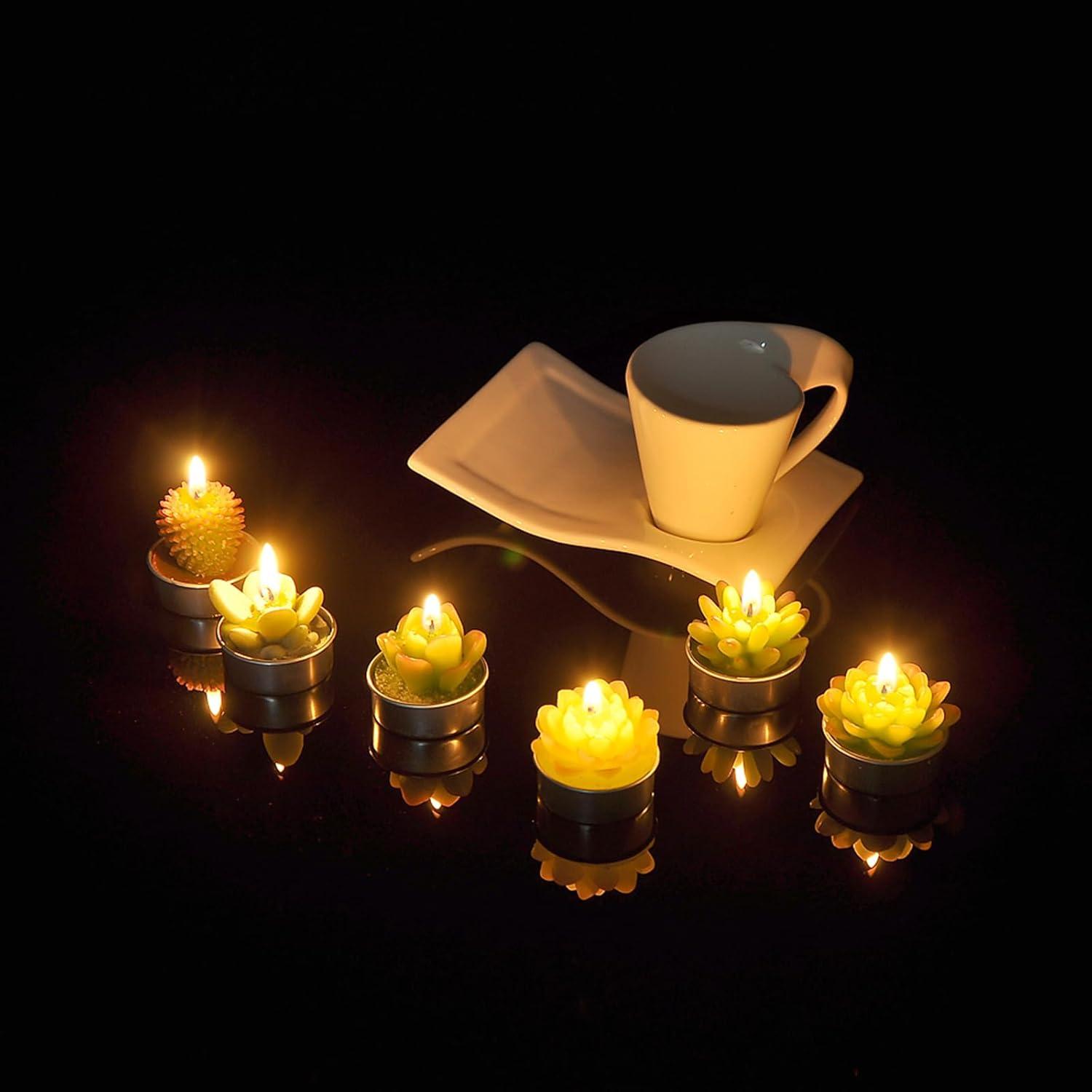 SSleng Cactus Tealight Candles, Handmade Delicate Succulent Cactus Candles（ Perfect for Birthday Party ,Wedding, Spa, Home Decor) C66