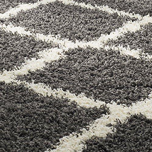 Dallas Shag SGD257 Power Loomed Indoor Accent Rug - Dark Grey/Ivory - 3'x5' - Safavieh.