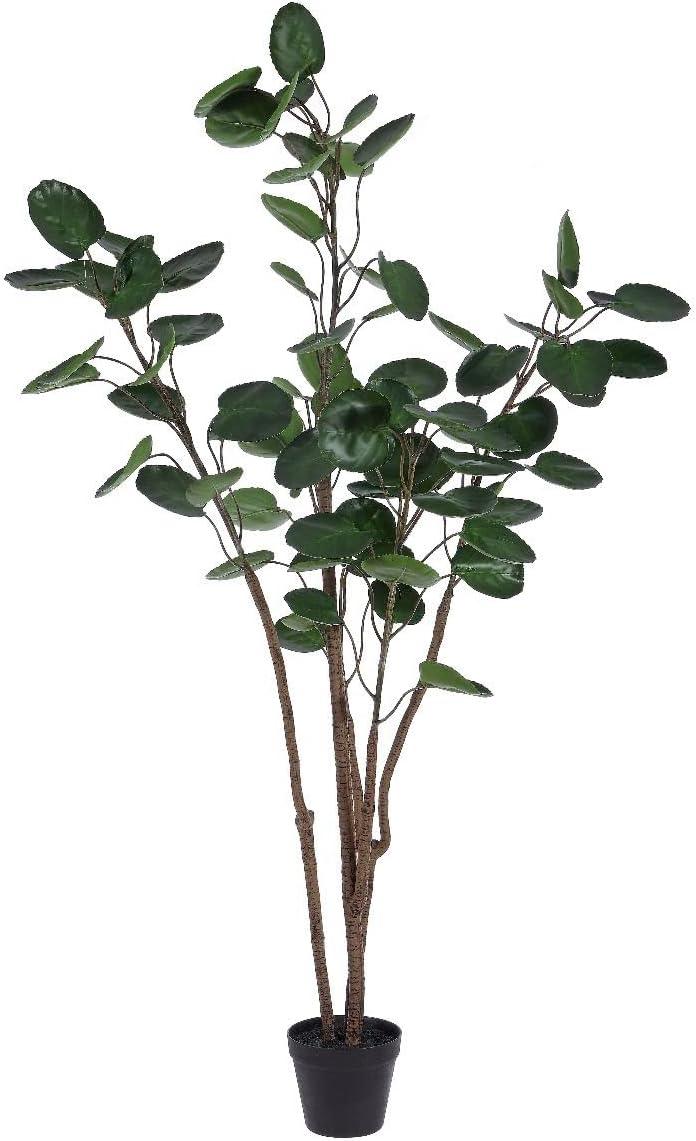 59-Inch Faux Polyscias Potted Tree with Black Pot