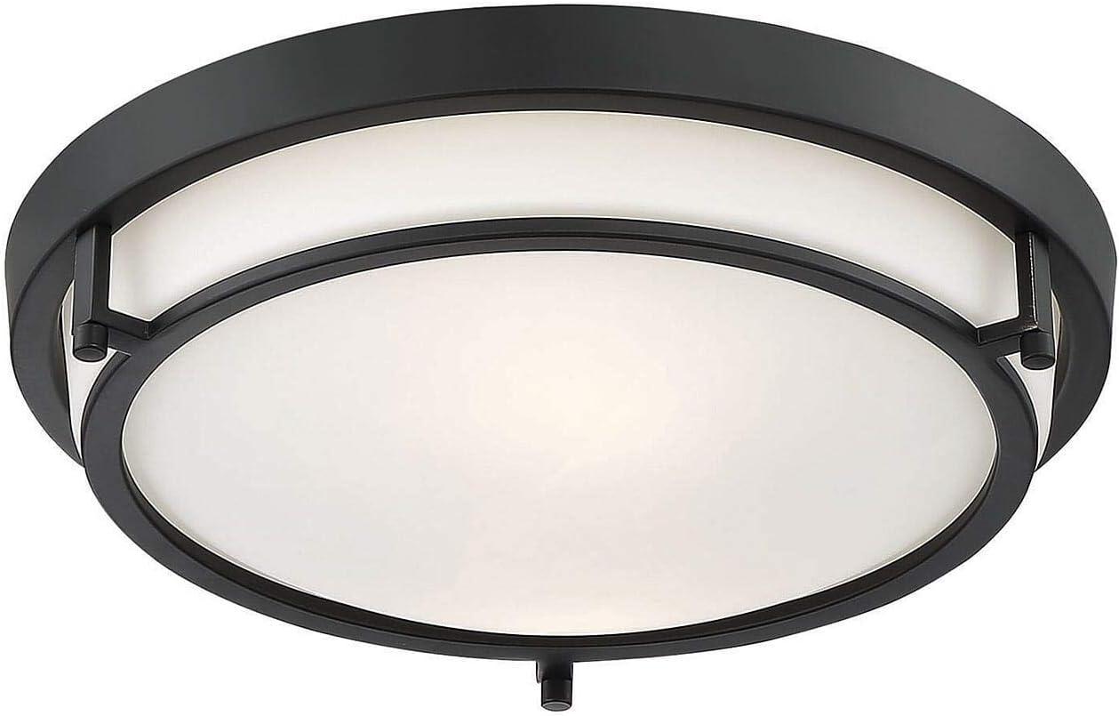 Trade Winds Felton 2-Light Flush Mount Ceiling Light in Matte Black