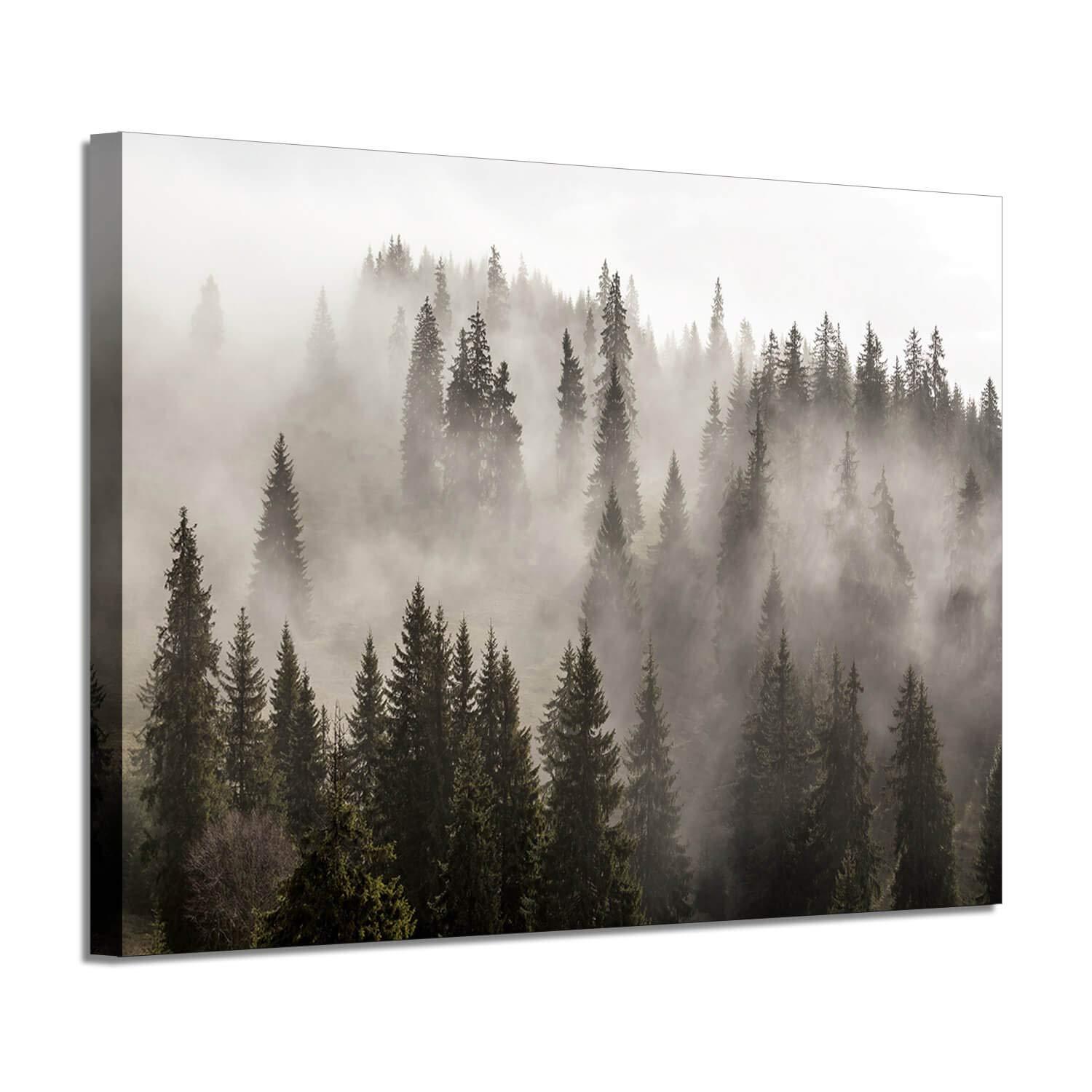 Foggy Forest Picture Wall Art: Landscape Artwork Photographic Print on Canvas for Office (45" W x 30" H,Multi-Sized)