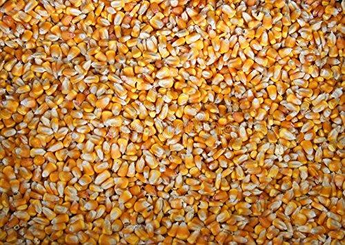 4 Pounds Whole Kernel Feed Corn - Made in USA - Make Corn Meal