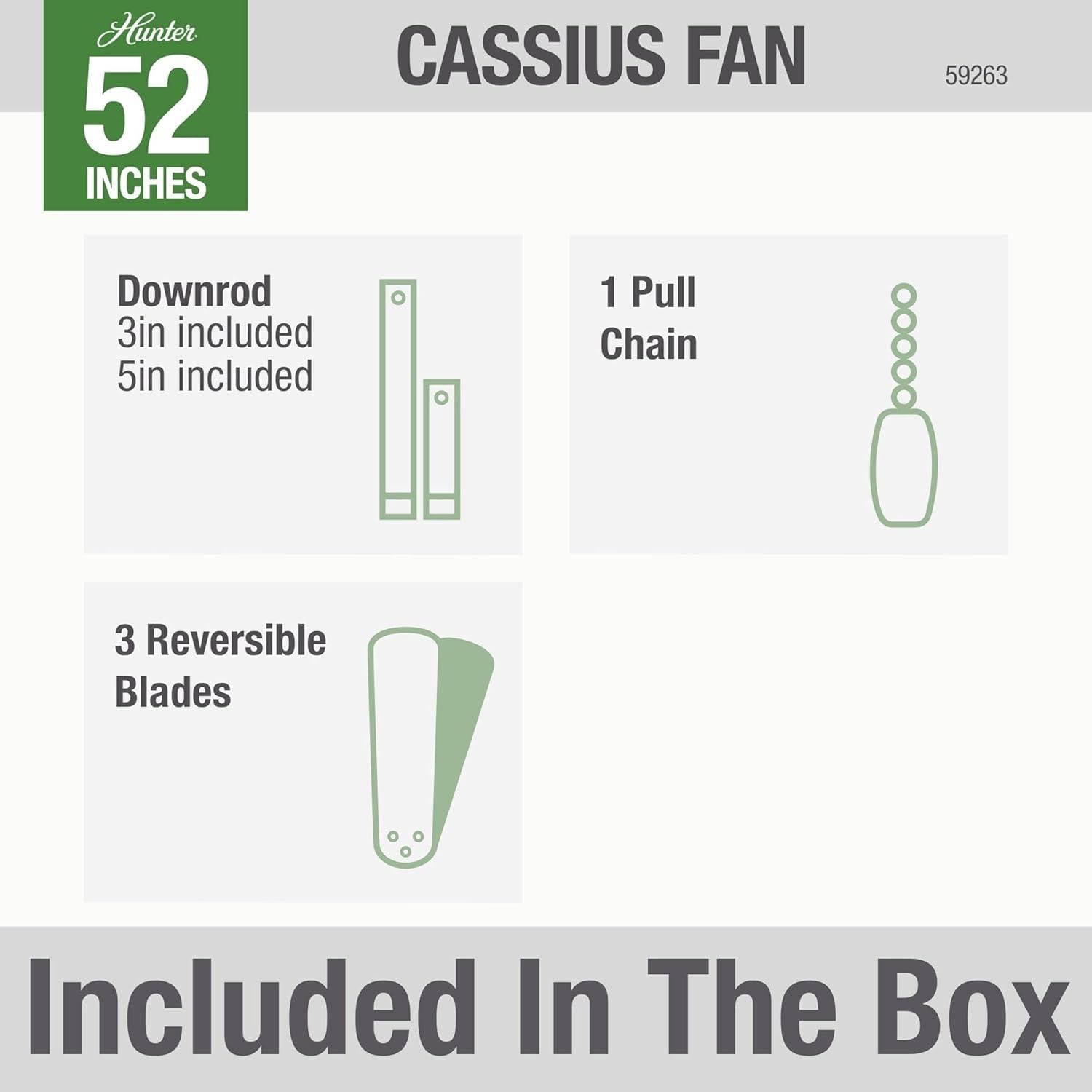 52" Cassius 3 - Blade Outdoor Standard Ceiling Fan with Pull Chain