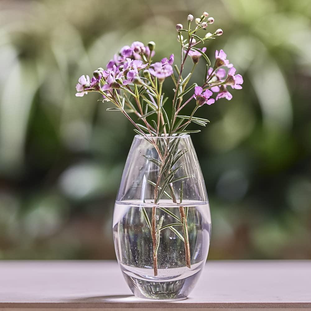CHIVE ‘George’ Glass Bottle Flower Vases — Set of 6 — Small, Elegant Clear Glass Bud Vases — Bulk Pack for Home Decor & Table Centerpieces — Shape 5 (Oval, 5” Tall, 2.5” Wide)
