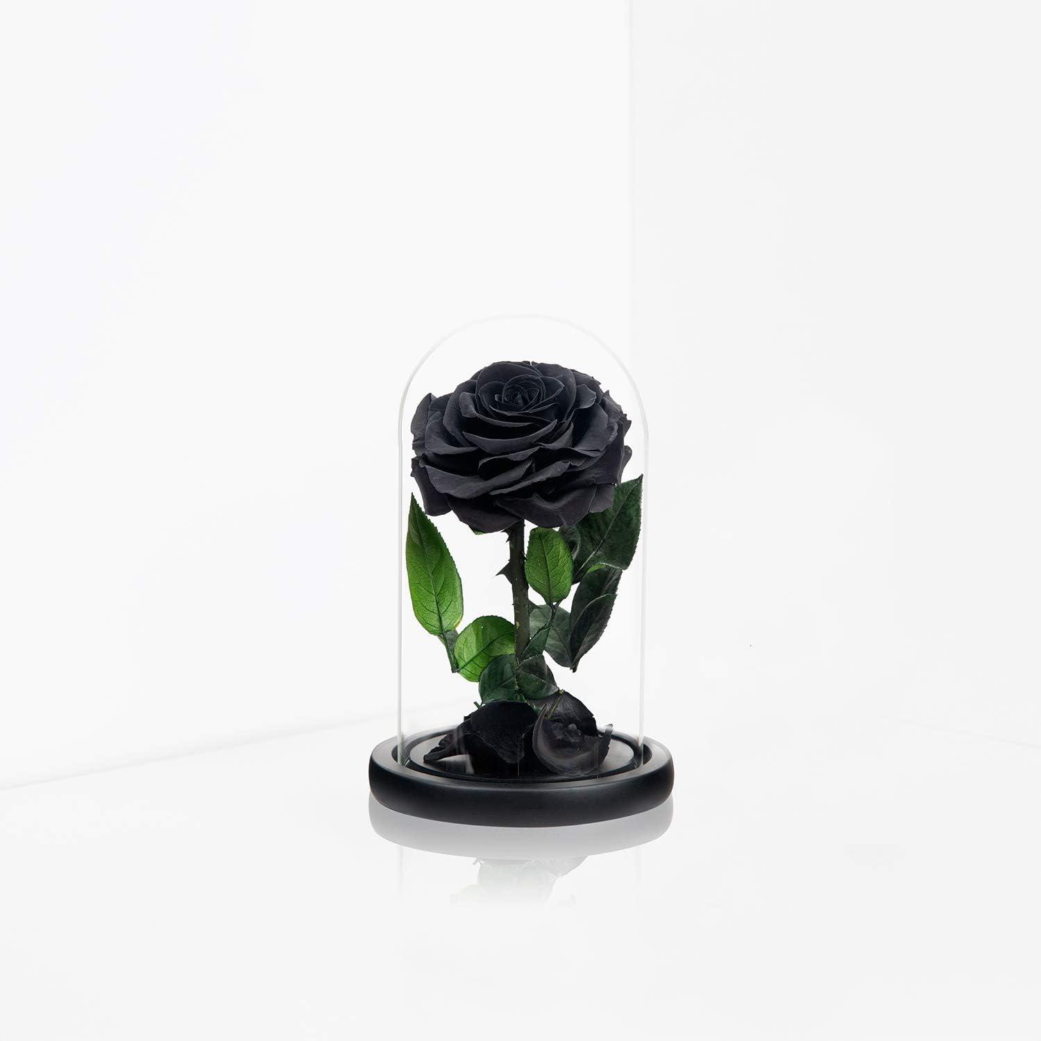 Handmade Preserved Black Rose in Glass Dome for Valentine's Day