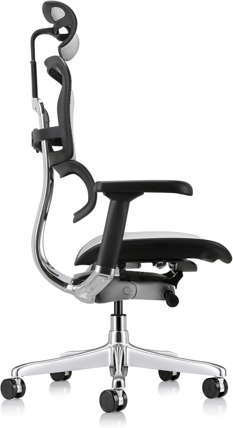 Eurotech Seating Ergohuman Executive Chair with Headrest
