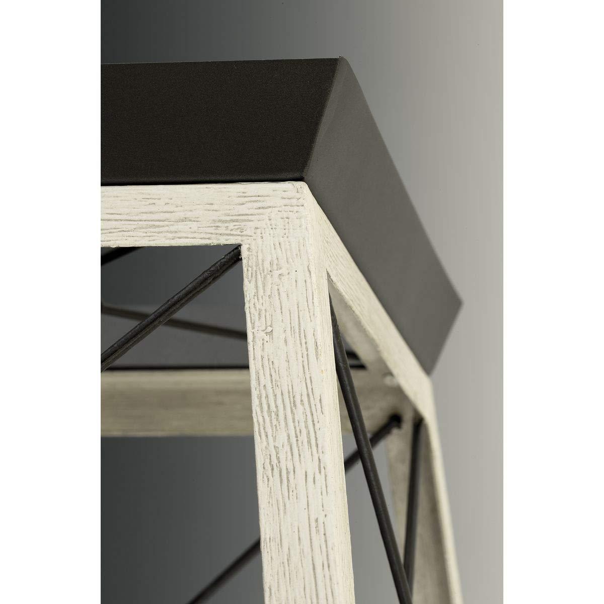 Progress Lighting Briarwood 2-Light Flush Mount, Graphite Finish, Faux-Painted Wood Enclosure, Canopy Included