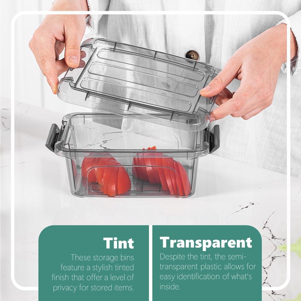 Tribello Small Storage Container Bin With Lids, 1.25Q Mini Plastic Storage Container With Latching Lids For Organizing - Tinted - (8’' x 6” x 3”) 1.25 Quart - Set of 6 - Made in EU