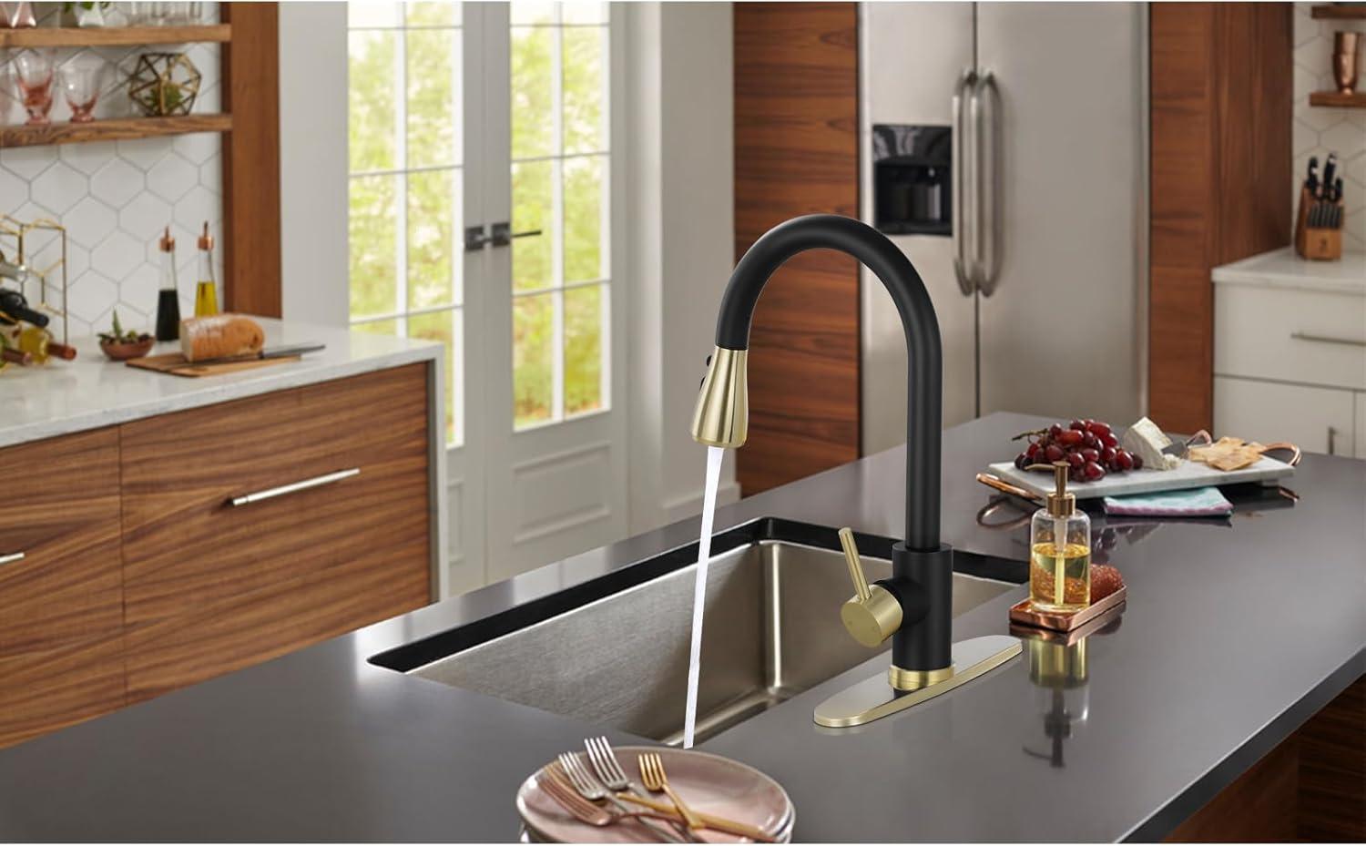 VIBRANTBATH Pull Out Kitchen Faucet