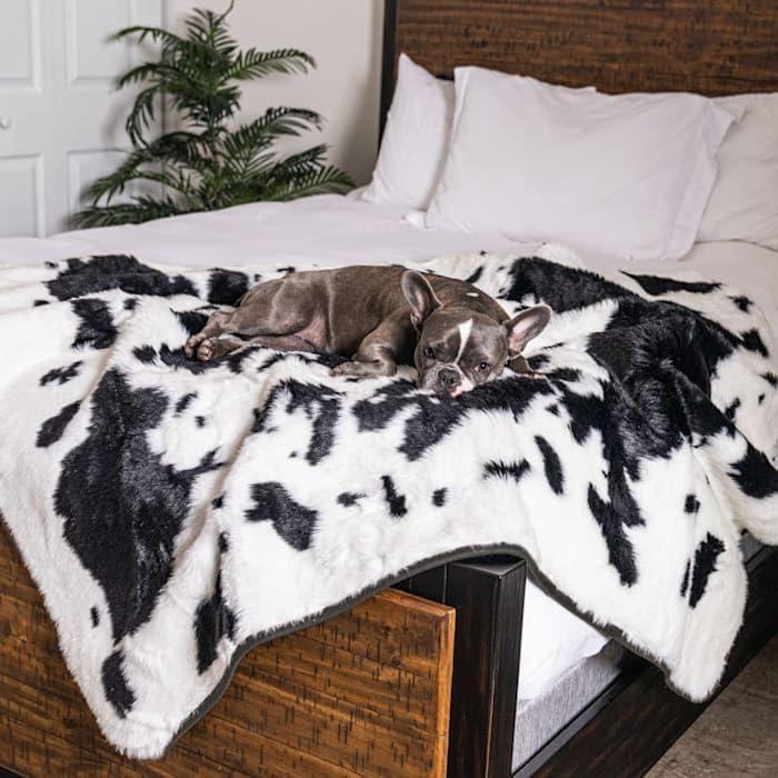 Paw Brands PupProtector Waterproof Throw Blanket