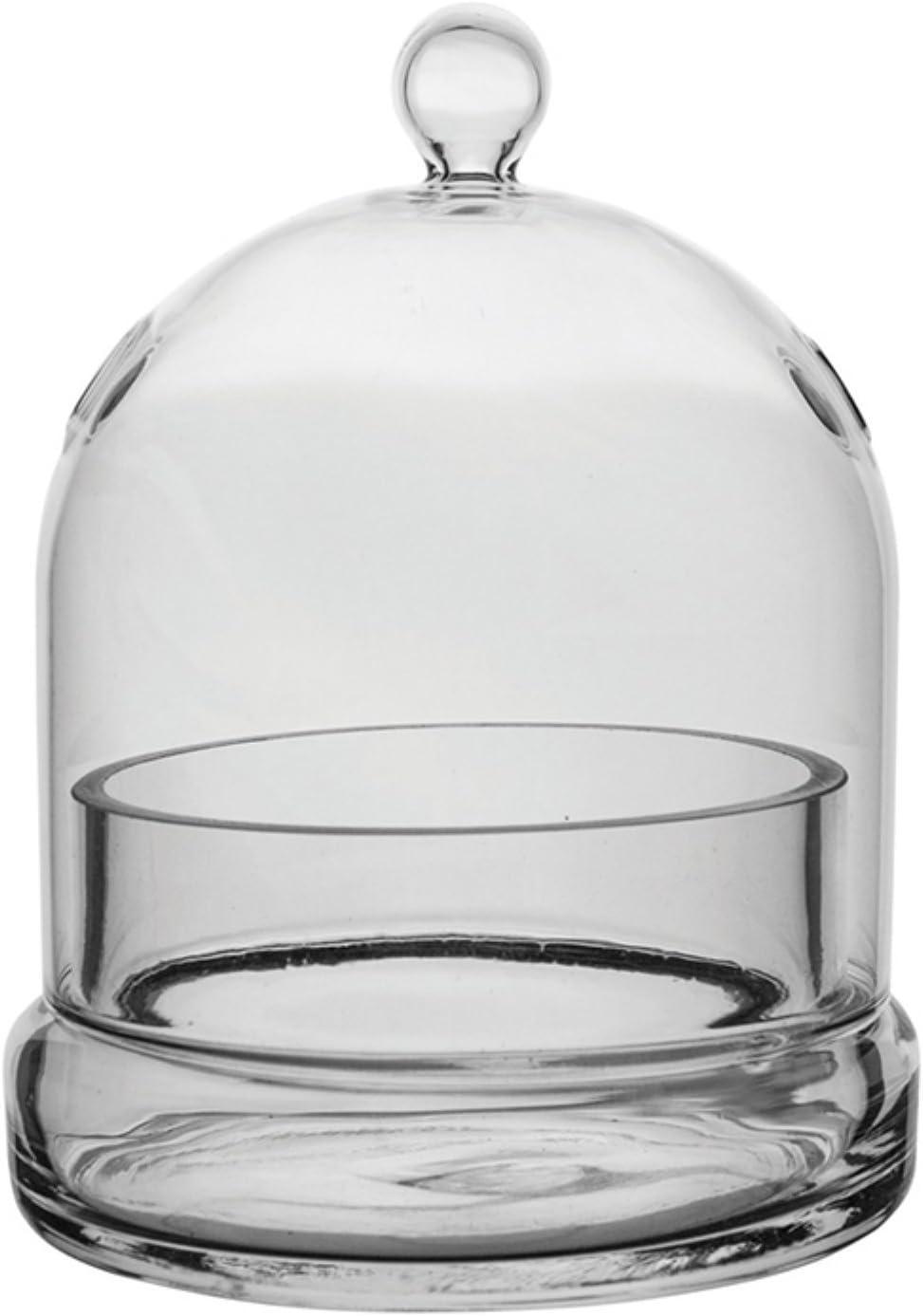 Medium Clear Glass Bell-Shaped Terrarium Cloche