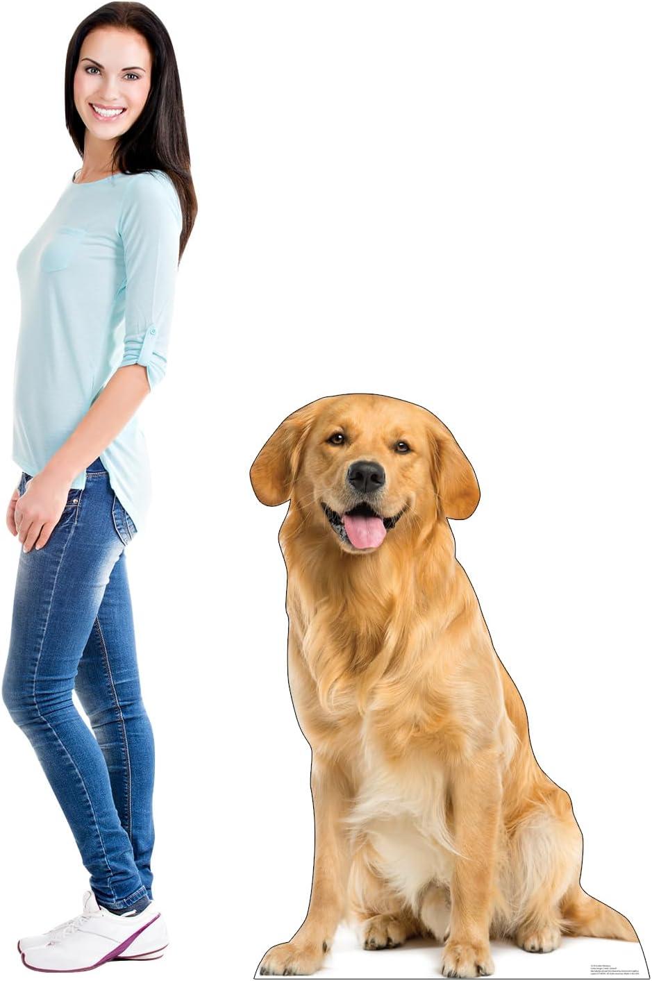 Advanced Graphics Golden Retriever Life-Size Cardboard Stand-Up, 45" x 30"