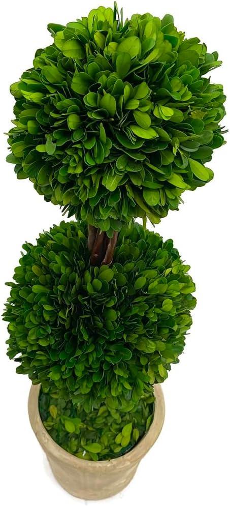 Modern Home 27" Real Preserved Boxwood Topiary Plant – Double Ball Faux Greenery in Rustic Pot – Indoor Outdoor Decorative Potted Plant for Home, Office, Porch, Patio, or Event Décor