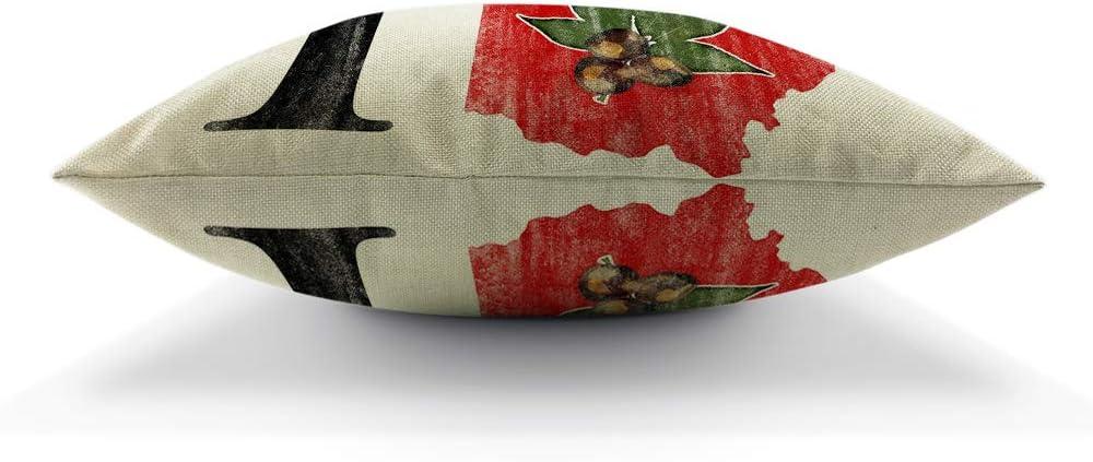 AOYEGO Oh I Love Ohio States Throw Pillow Cover Vintage Red Buckeye Nut Pillow Case 18x18 Inch Decorative Men Women Room Cushion Cover for Home Couch Bed