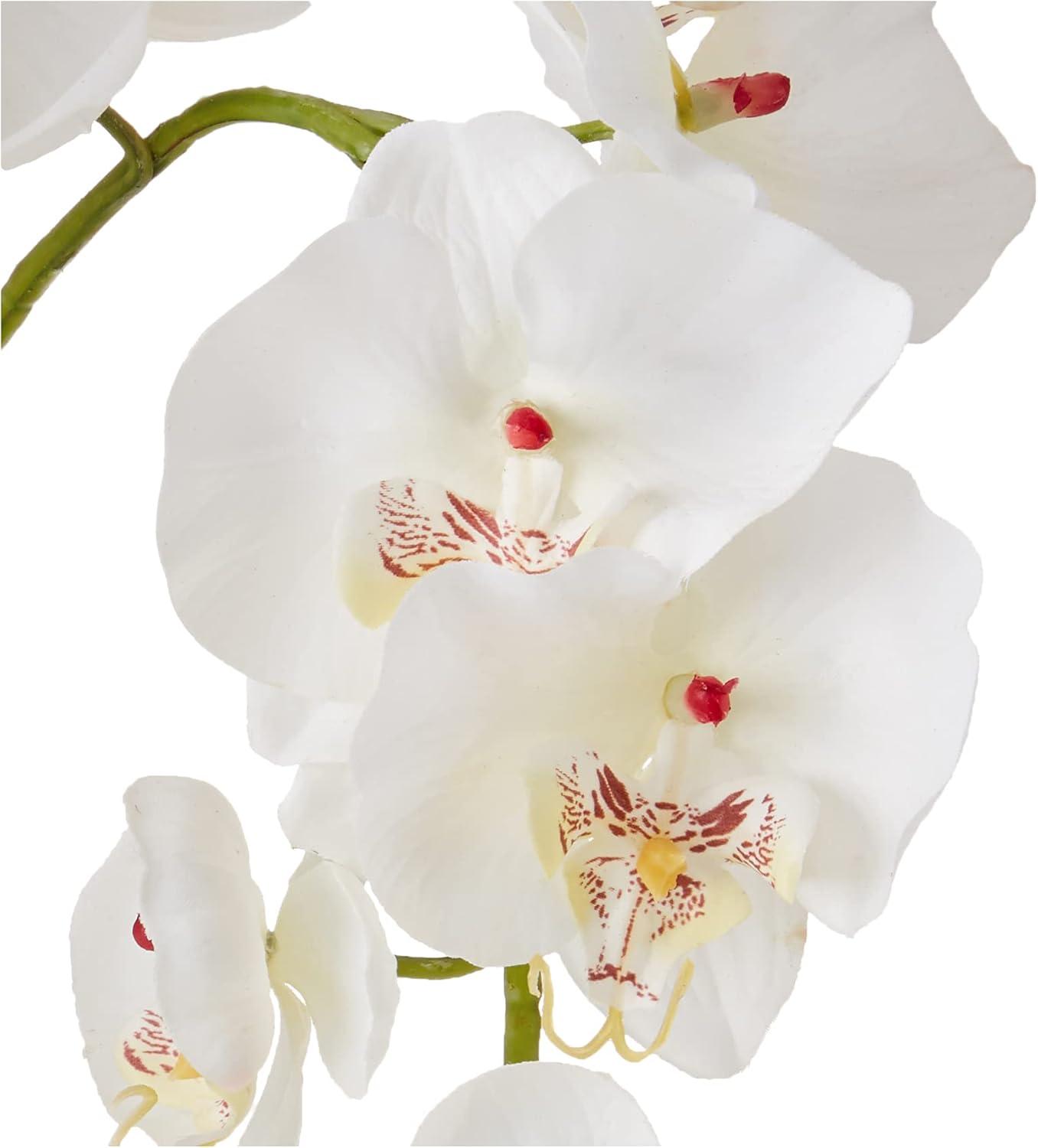 Nearly Natural 18" x 16" Artificial Phalaenopsis Orchid with Glass Vase White: Elegant Faux Orchid Display for Indoor Decor