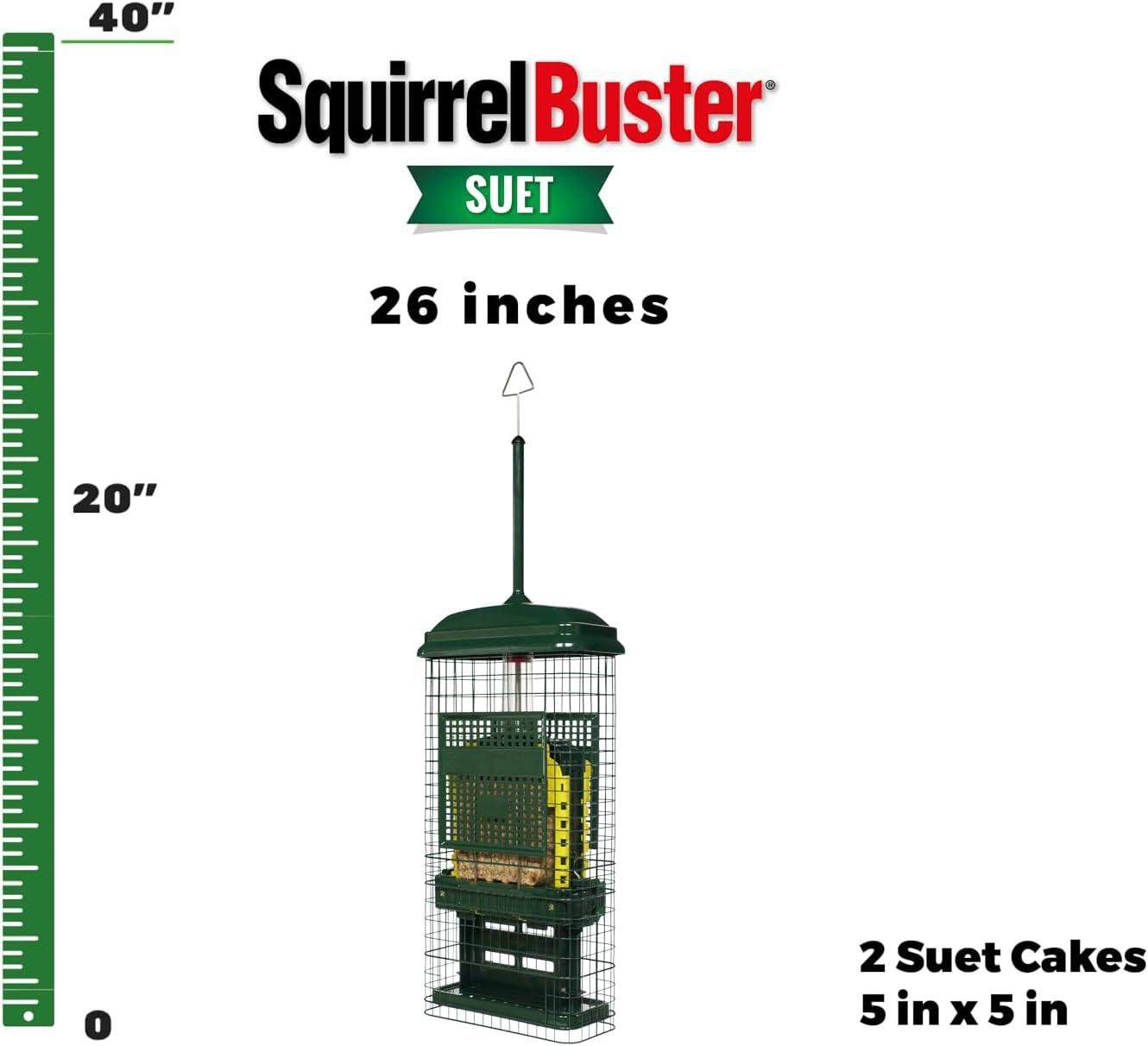 Brome Bird Care Squirrel Buster Truly Squirrel-Proof Suet Feeder (Green)