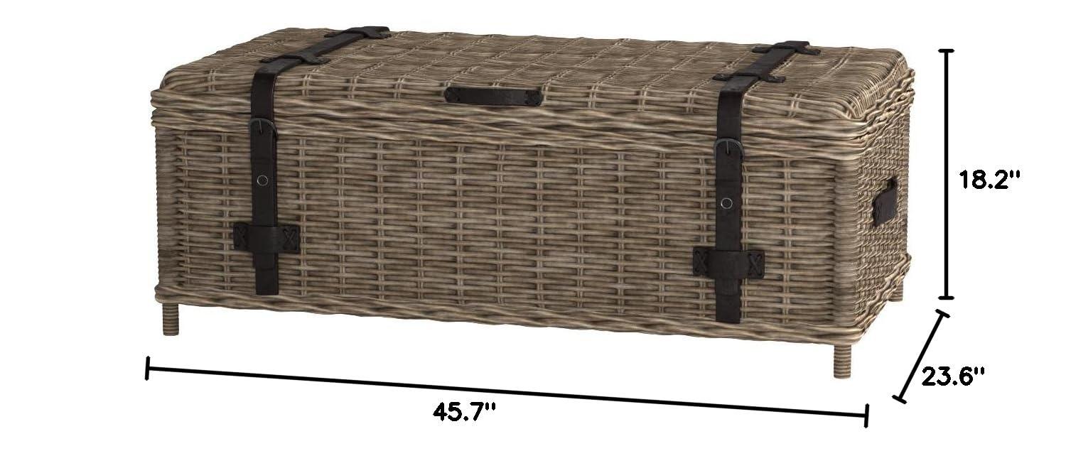 Navarro Rattan Coffee Table Trunk - Grey - Safavieh