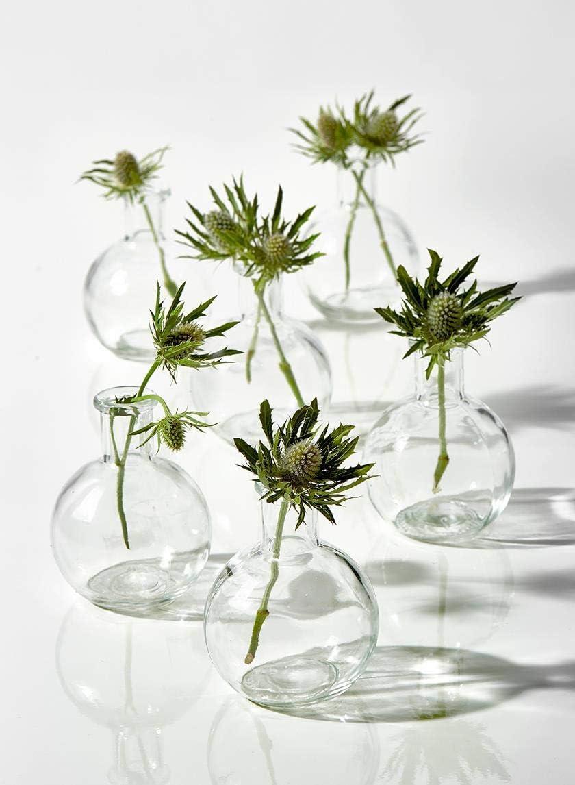 Serene Spaces Living Set of 6 Clear Ball Bud Vases, Transparent Glass Vases for Weddings, Events, Parties, Floral Centerpieces for Home Decor, Measures 4" Tall
