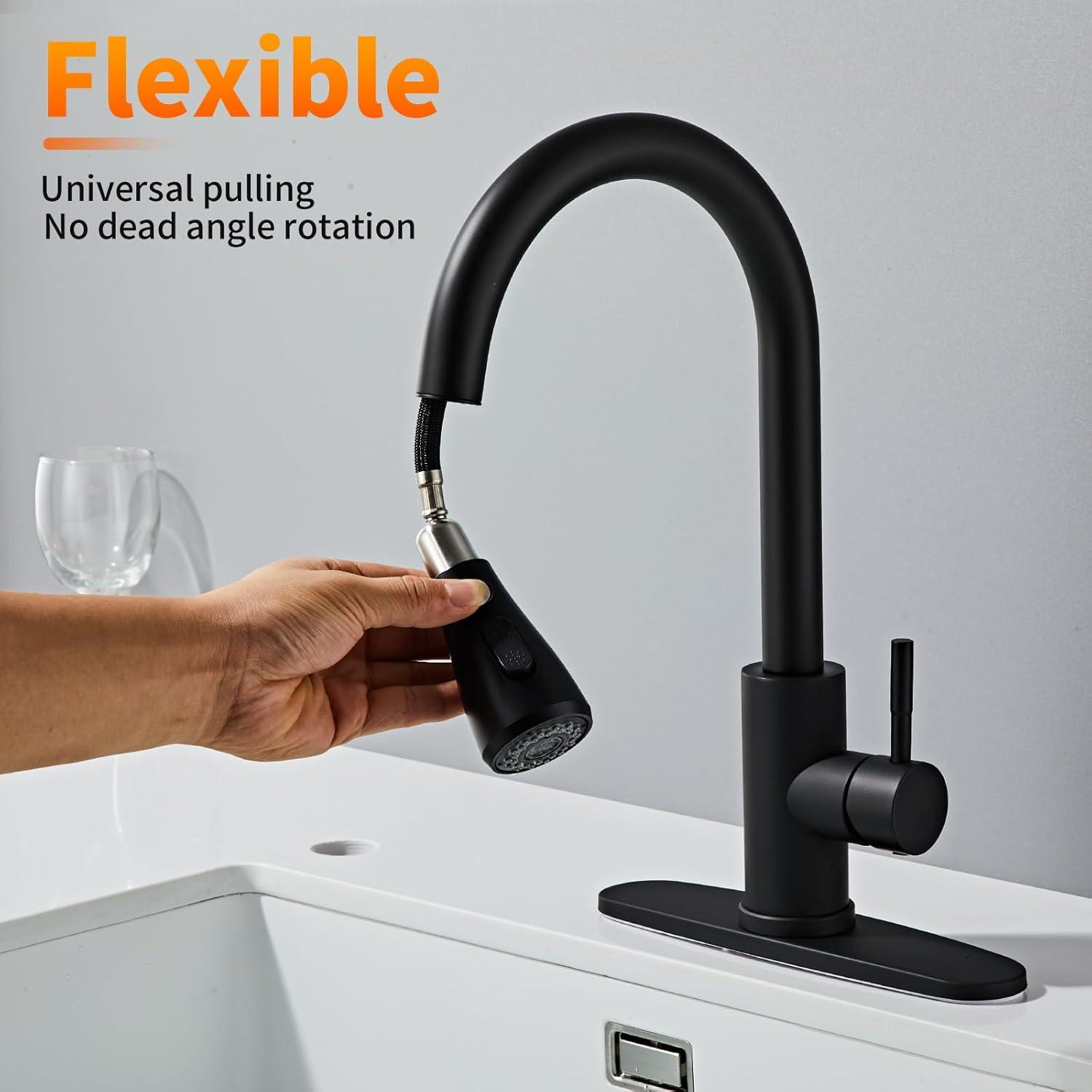 Matte Black Stainless Steel Kitchen Faucet with Pull-out Spray