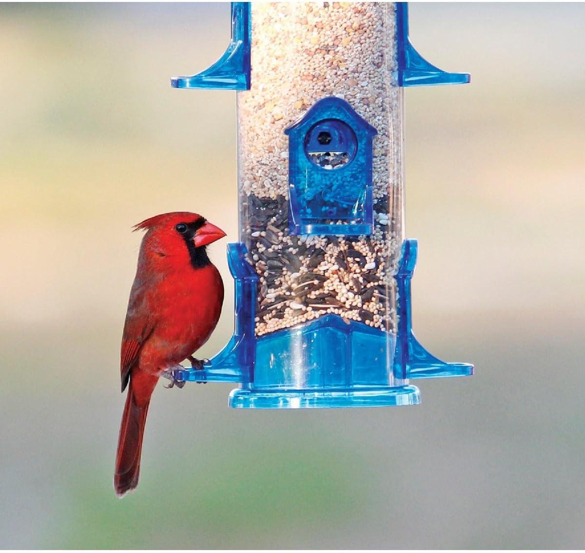 Large Blue Plastic Hanging Tube Bird Feeder with 6 Ports