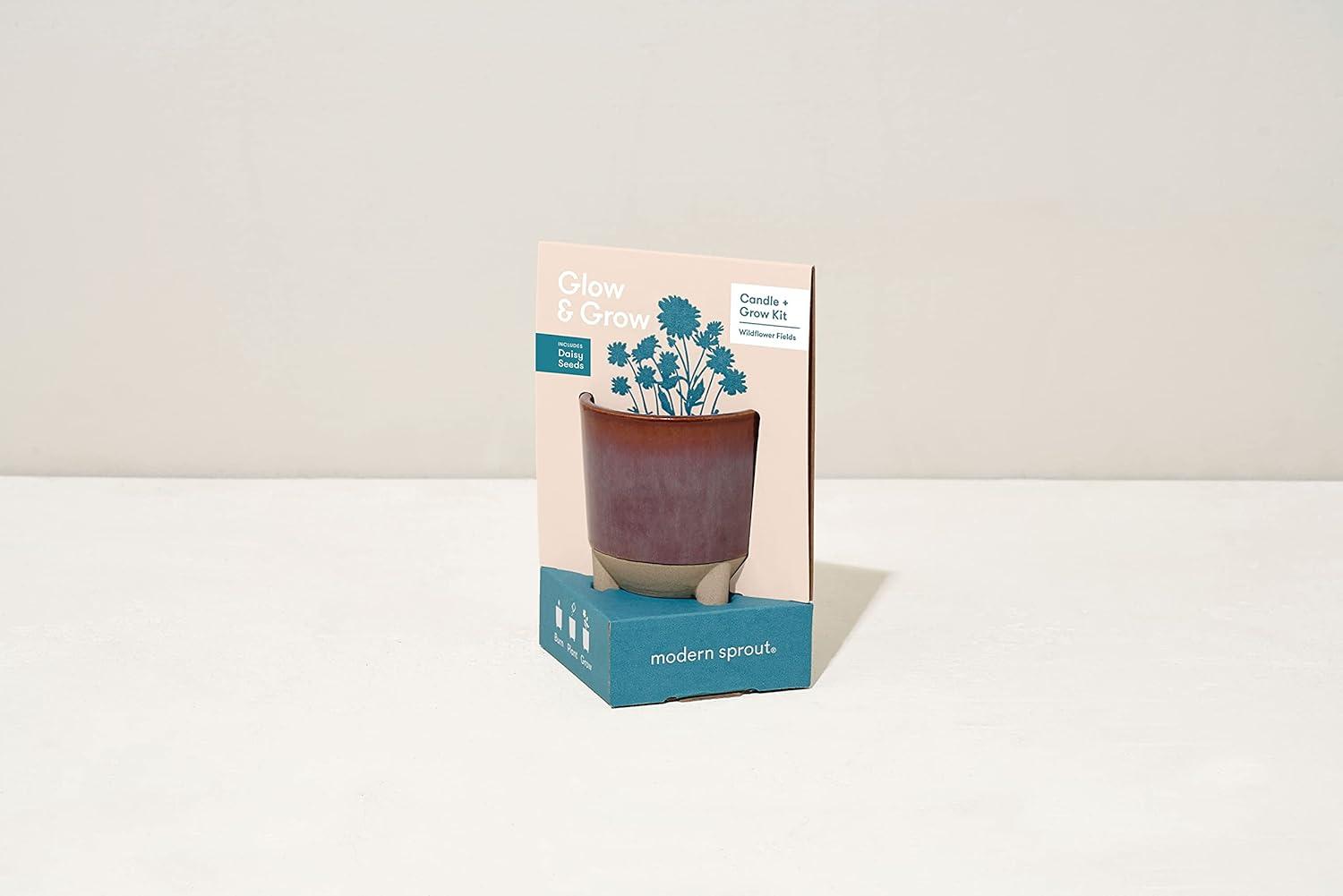 Wildflower Fields Ceramic Candle and Daisy Grow Kit